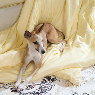 Huisdierhaarafweermiddel