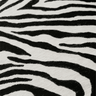 Pittige Zebra